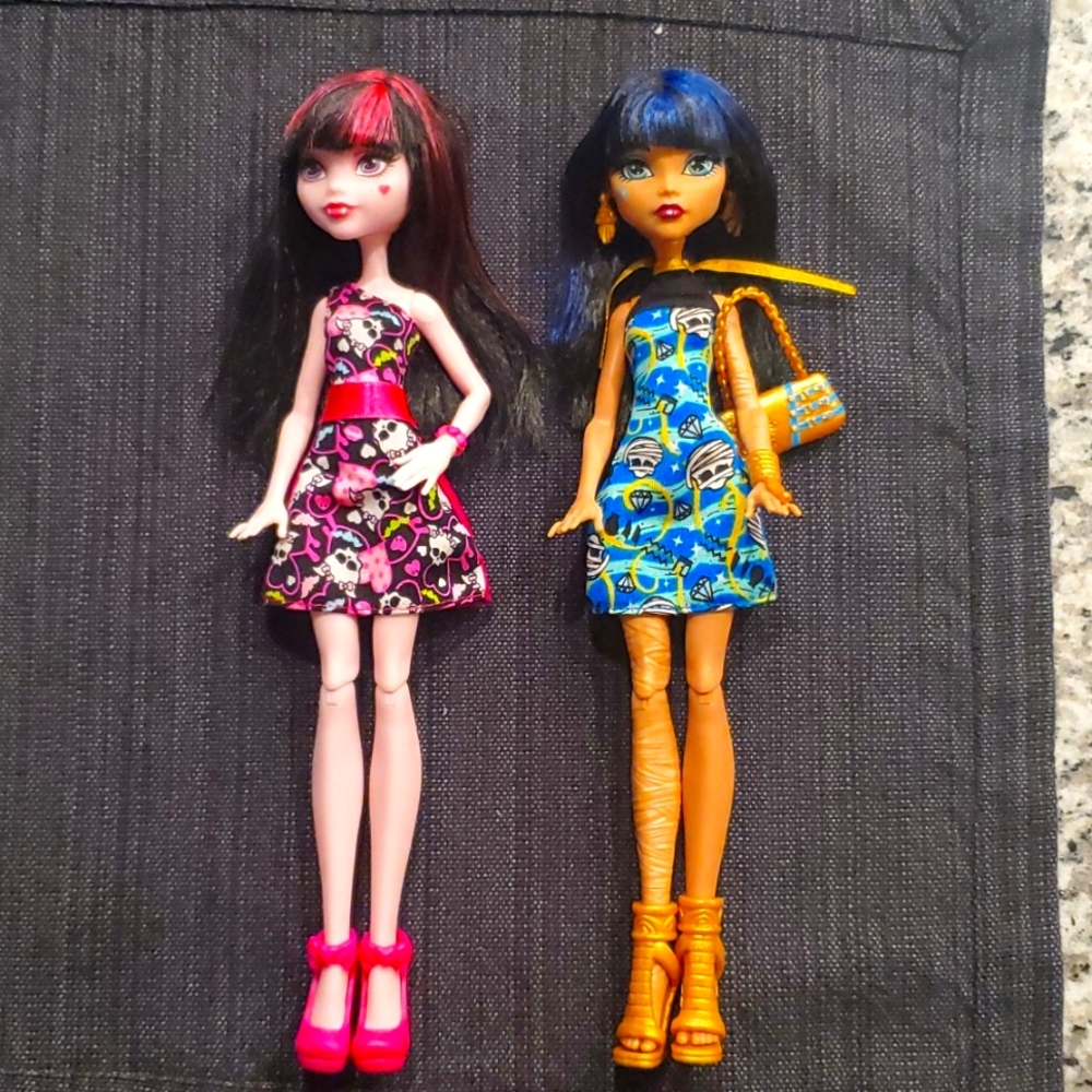 Lot of 2 Monster High Dolls
